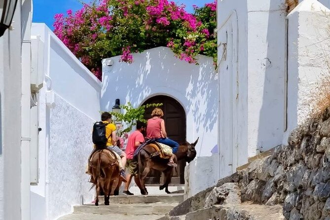 1 Day Rhodes Island Tour including Lindos and Medieval City - Is $73.29 good value?