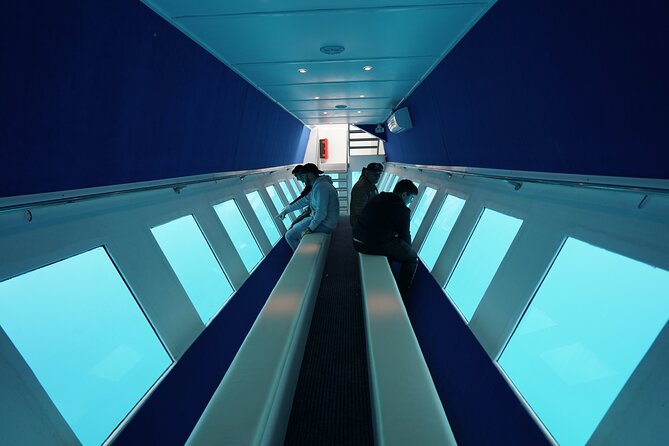 3 Hour Yellow Semi Submarine Swimming Cruise with Drinks Included! - The cruise past Faliraki Beach