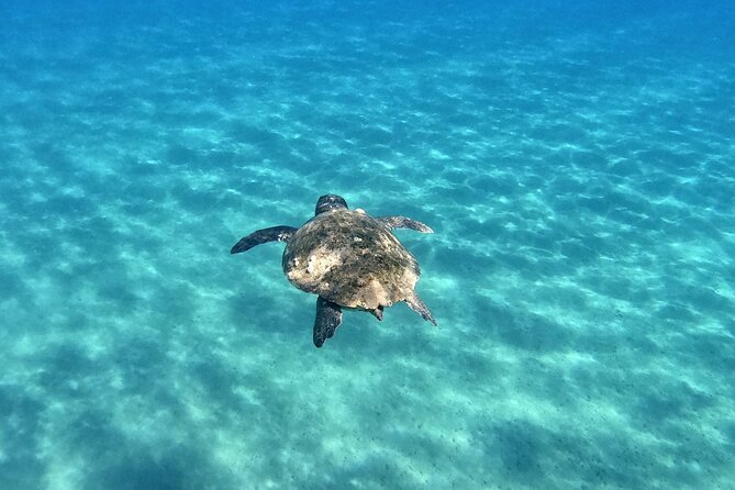 3 Hours Marathonissi Island Tour, Keri Caves and Turtles Spotting - The boat, group size, and comfort question