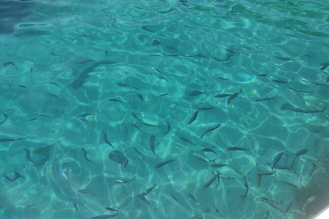 4-Hour Private Boat Tour in Corfu - Timing and practical planning