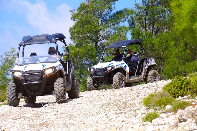 4x4 Buggy Adventures - Off-road Polaris Experience - The farm stop with honey, fruit, and donkeys