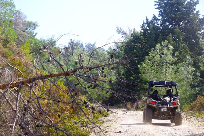4x4 Buggy Adventures - Off-road Polaris Experience - From the Petaloudes meeting point to the first trail