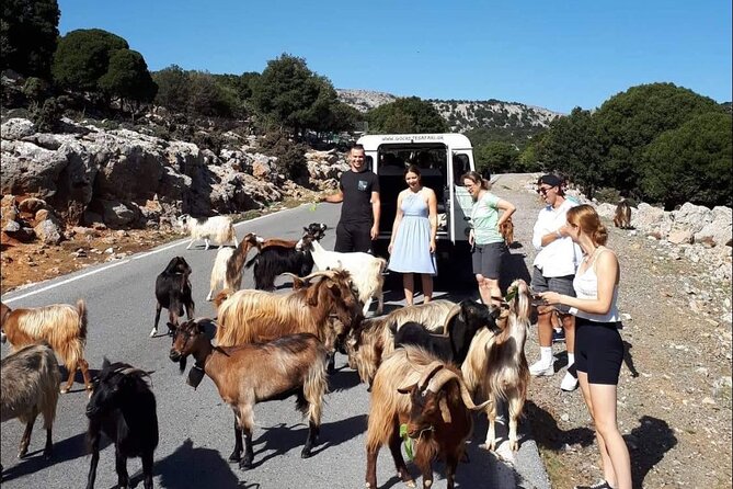 4x4 Safari Tour South Crete Agiofarago Matala - Why this southern Crete route works