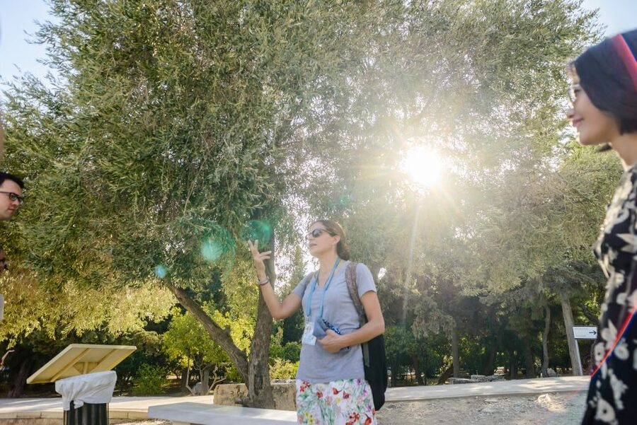 Acropolis: Acropolis and Parthenon Guided Walking Tour - Theatre of Dionysus: where the climb begins