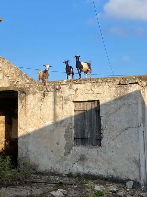 Agia Pelagia: Sunset or Morning Quad Tour & Ghost Town Visit - A short Fodele break for local flavor