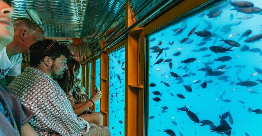 Agios Nikolaos: Semi-Submarine Cruise - What the semi-submarine cabin is really like