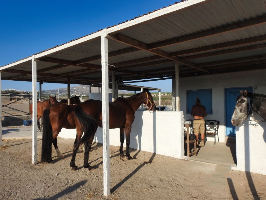 Akrotiri: Guided Horseback Riding Day Trip to a Beach - Transport and finding the stable