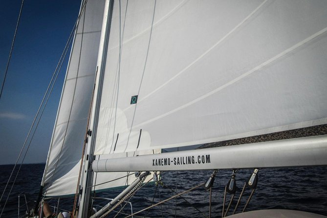 All inclusive day sailing tour from Naxos to the small cyclades - Photos That Capture More Than Your Phone Can
