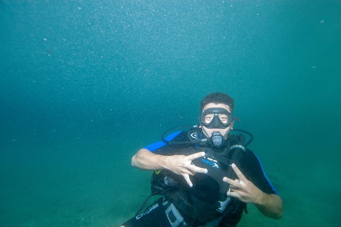 Anavyssos Athens Riviera: Beginners' Guided Try Scuba Diving - The sea session and what you may see below
