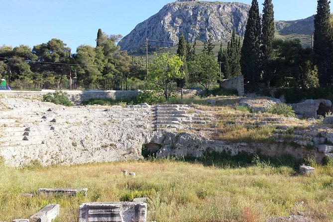 Ancient Corinth Private Tour from Corinth - What the driver service is really like