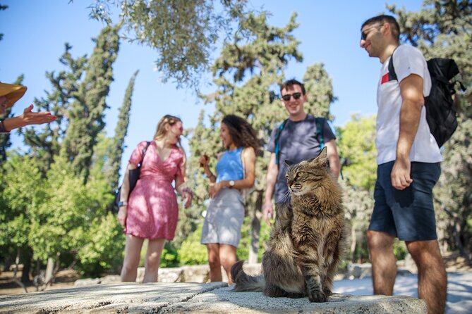 Athens Acropolis and Parthenon Walking Tour - The Odeon Of Herodes Atticus