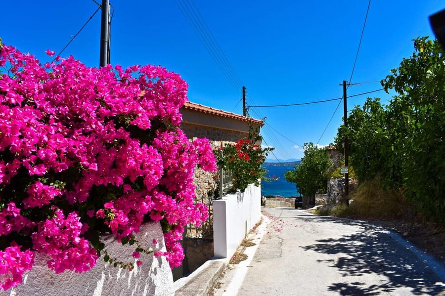 Athens: Agistri, Metopi & Aegina Cruise with Meals & Drinks - Leaving Athens for the Saronic Gulf