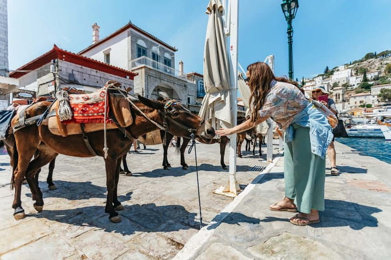Athens Day Cruise – Since 1965 | Visit Hydra, Poros & Aegina - Key points to know before booking
