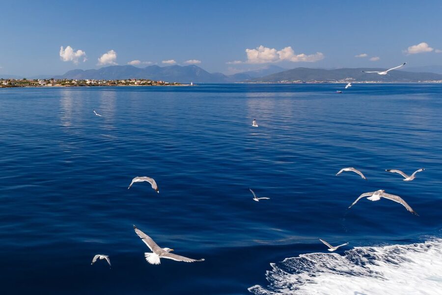 Athens: Guided Day Trip to Aegina Island with Swimming - Saint Nektarios Monastery and the island’s living faith