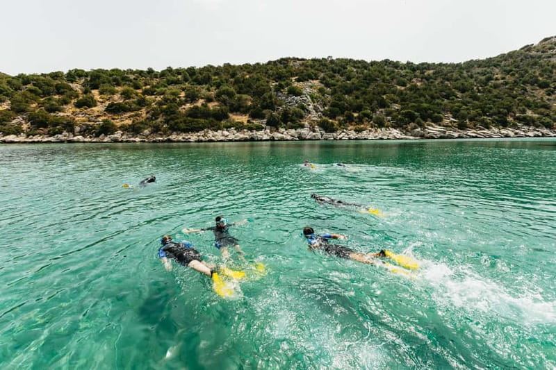 Athens: Marathon Cape and Bay of Schinias Snorkeling Trip - Is $90 a fair price?