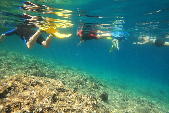 Athens, Nea Makri: Guided Small Group Snorkeling Boat Excursion - Dispa Island and the pleasure of a smaller setting