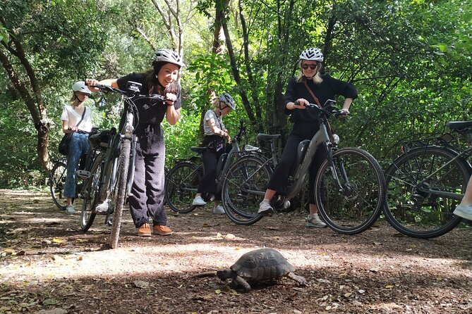 Athens Small Group Electric Bike Tour - Adrianou Street and the Roman Forum