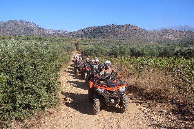 Bali Rethymno Panormo half day quad safari adventure - Riding through olive groves and Cretan back roads