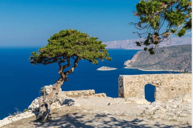 Best Rhodes Tour with Wine Tasting Experience from Cruise Port - Why this Rhodes day tour works for cruise passengers