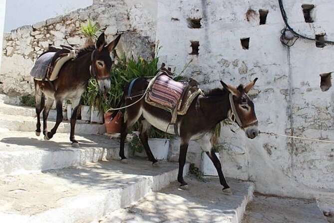 Best Rhodes Tour with Wine Tasting Experience from Cruise Port - Clay, paint, olive oil, and honey in Kalathos