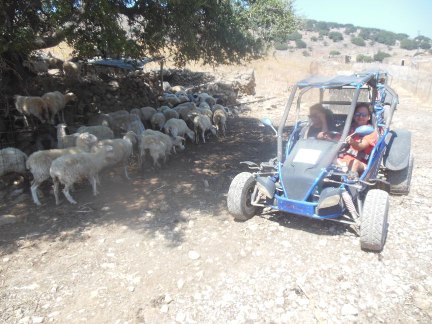 Buggy safari Crete (Transfer and lunch) analipsi- hersonisos - What the $135 price really covers
