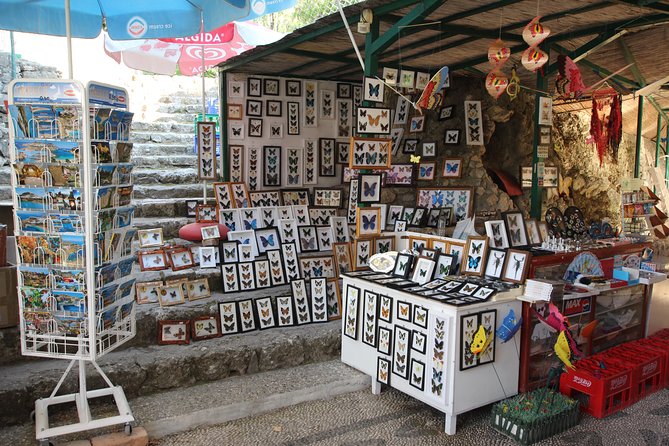 Butterfly Valley & Wine, Olive Oil, Honey Tasting Tour (Small Group) - The Bee Museum and local honey