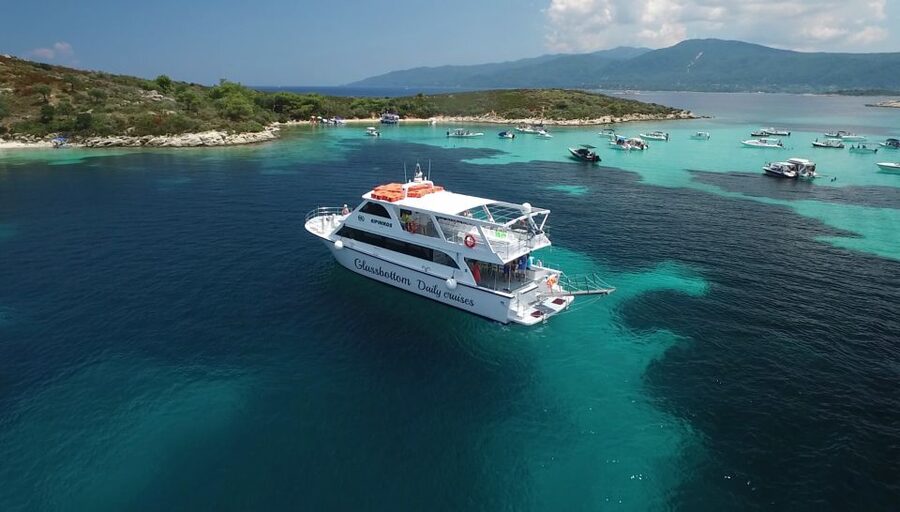 Chalkidiki: Blue Lagoon & Ammouliani Island Cruise & Lunch - Yellow corals beneath the glass-bottom boat
