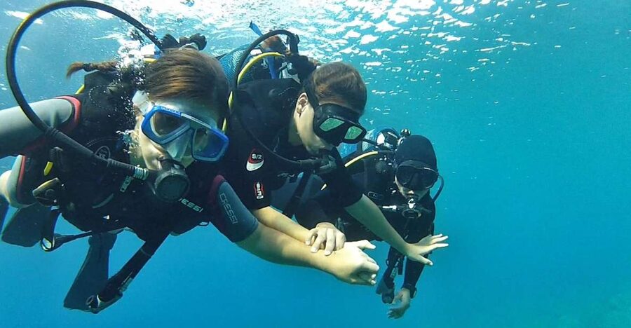 Chalkidiki: Scuba Diving for Beginners in Kassandra - Key points to know before booking
