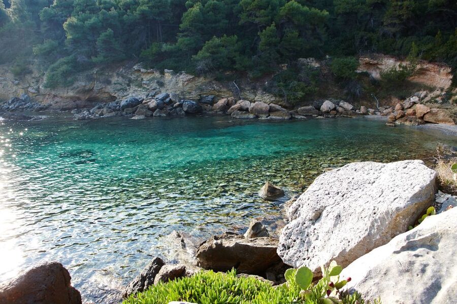 Chalkidiki: Scuba Diving for Beginners in Kassandra - Shallow-water practice before the open sea
