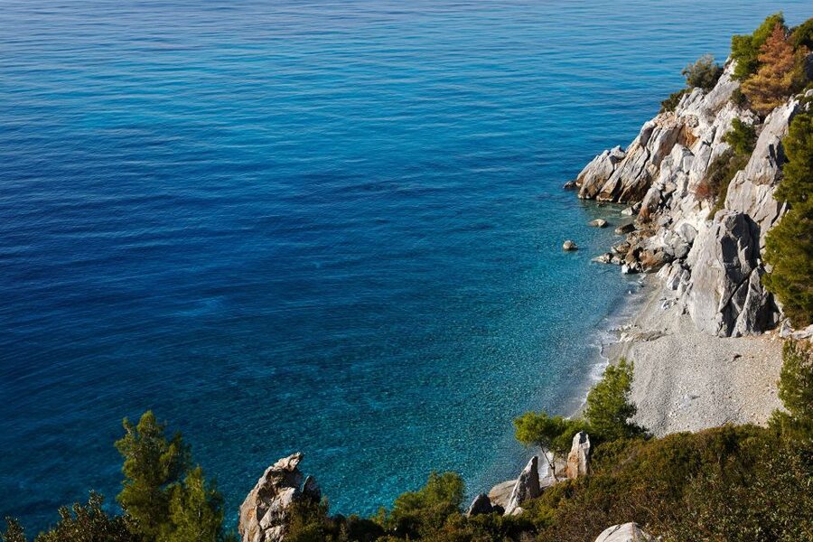 Chalkidiki: Scuba Diving for Beginners in Kassandra - The underwater session and Mediterranean sea life
