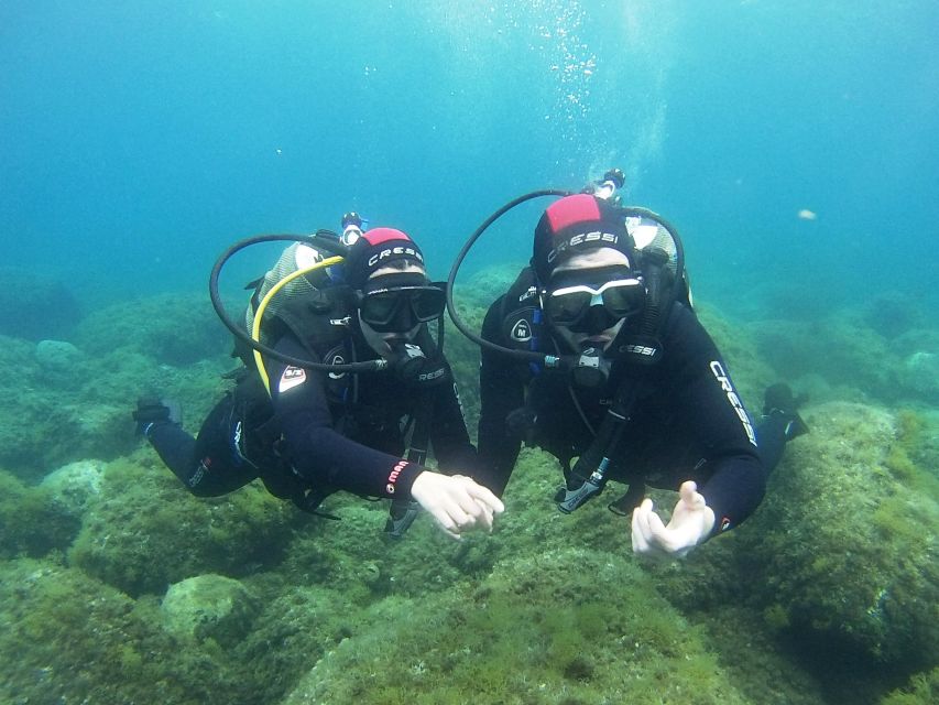 Chalkidiki: Scuba Diving for Beginners in Kassandra - Why the small group makes a difference