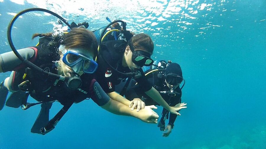 Chalkidiki: Scuba Diving for Beginners in Kassandra - Is $92 good value?