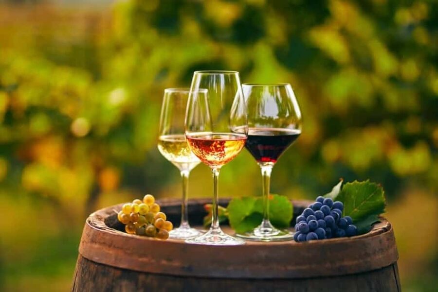 Chania Area: Food Tasting Tour with Winery Visit & Swim Stop - Key points to know before you book