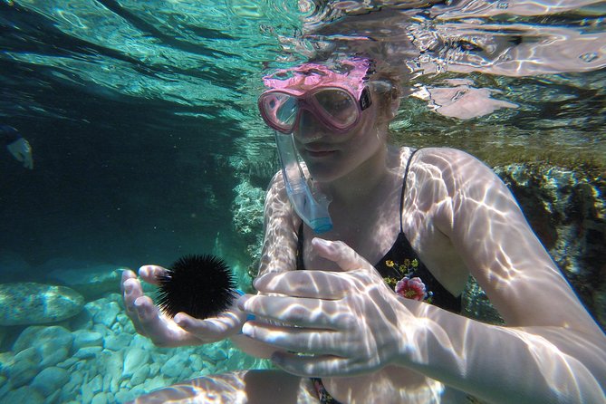 Chania: Boat Trip with Guided Snorkeling Tour & SUP - Stop one: finding calm water for snorkeling