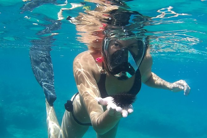 Chania: Boat Trip with Guided Snorkeling Tour & SUP - Where SUP fits into the morning