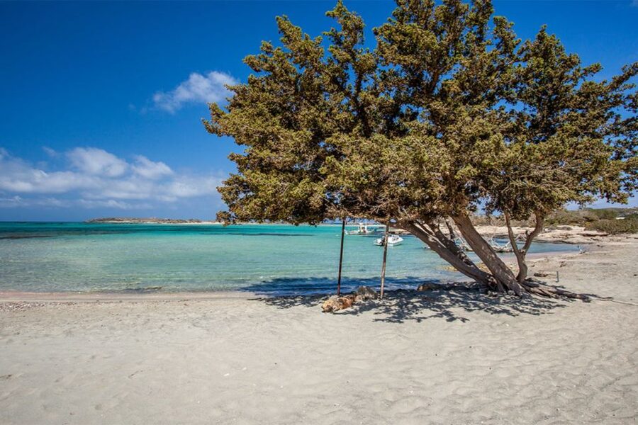 Chania: Elafonisi and Milia Mountain with Loungers and Lunch - Timing, comfort, and what to pack
