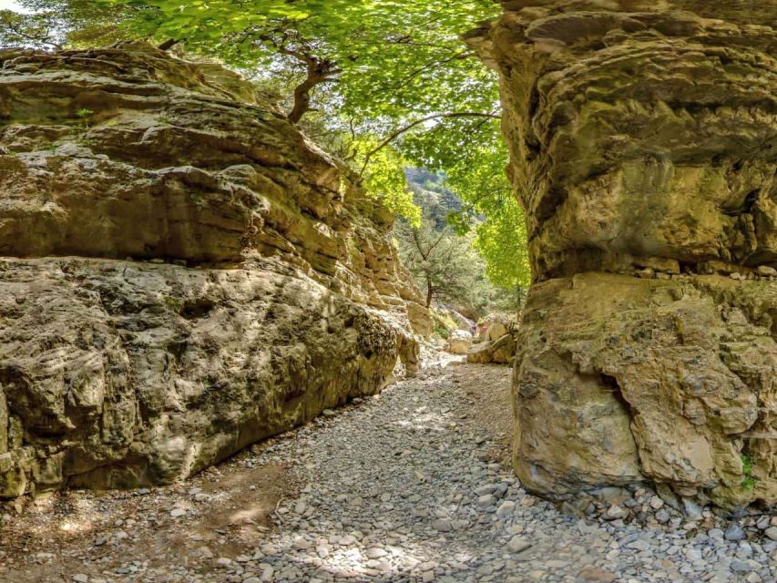 Chania: Imbros Gorge and Libyan Sea Day Tour - Who should book this Crete excursion?