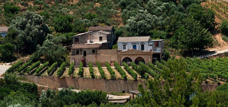Chania: Milia Mountain Tour w/Lunch Olive Oil/Wine Tastings - Anoskeli Olive Mill and Winery: bread, oregano, and five wines