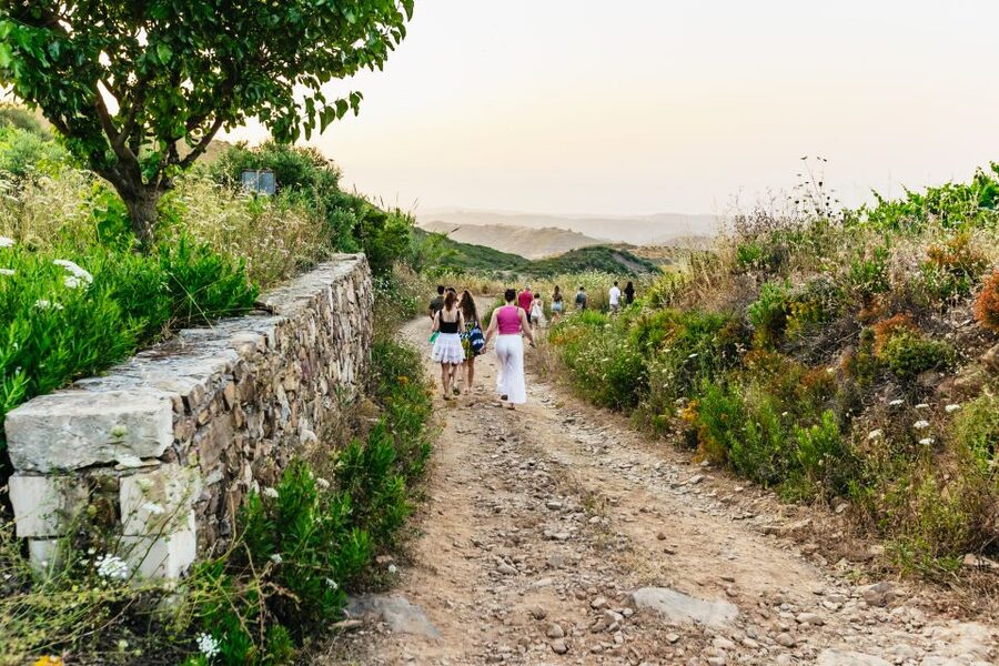 Chania: Off-Road Tour at Sunset - What the small group changes