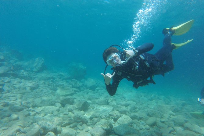 Chania: Scuba Diving for Beginners - What you may see below the surface