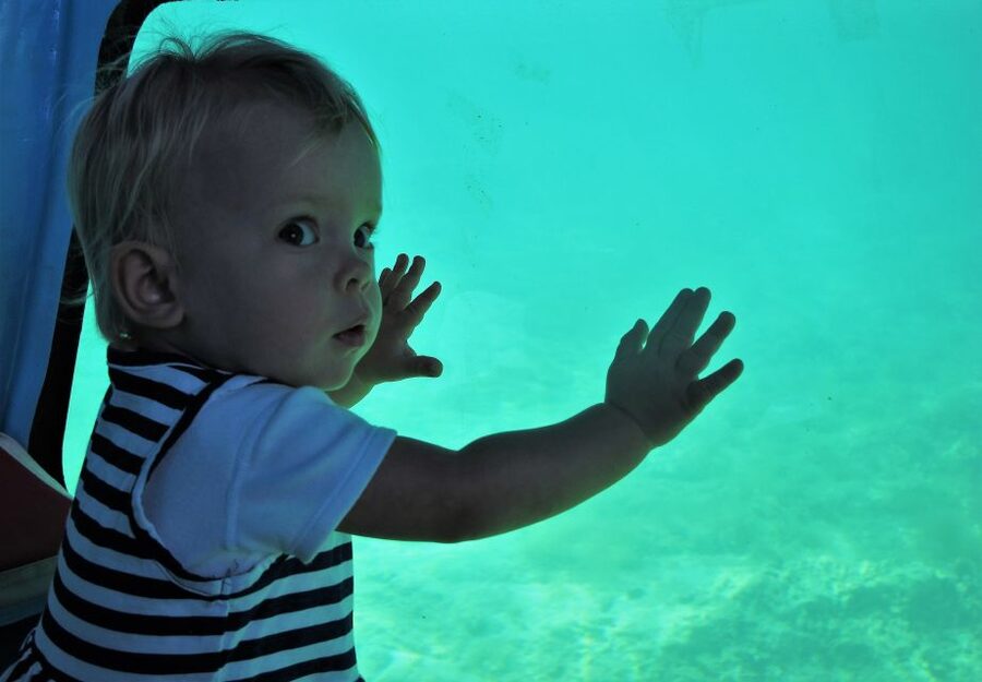 Chania: Semi-Submarine Boat Underwater Experience - Key points to know before you board