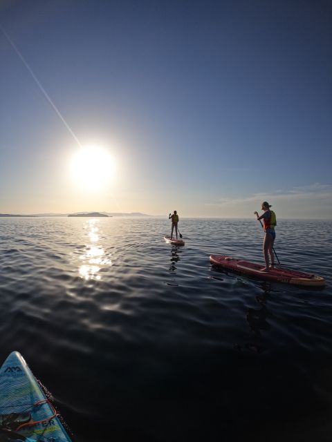 Chania: Stand-up Paddleboard Coastal Sunset Experience - Learning to stand before the sun drops