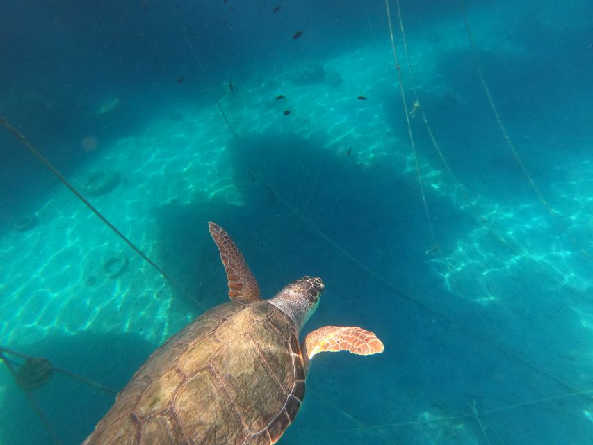 Chania: Stand-Up Paddleboard Small Group Tour - What to pack for the water