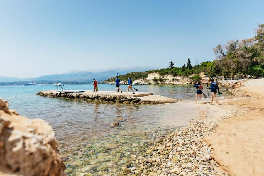 Chania: Stand-Up Paddleboard Small Group Tour - Sea turtles and the fragile Mediterranean ecosystem