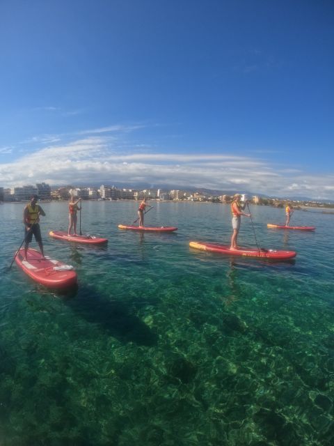 Chania: Stand-up Paddleboard Tour to Lazareta Island - Swimming, snorkeling, and sea life