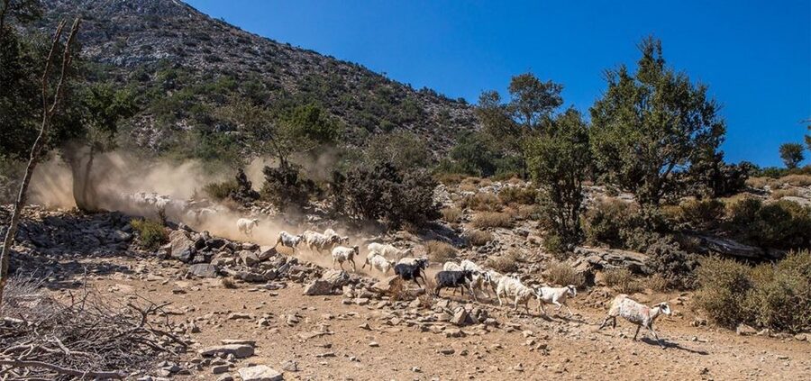 Chania: White Mountains Safari Tour with Lunch and Tastings - The return drive shows Crete in fast change