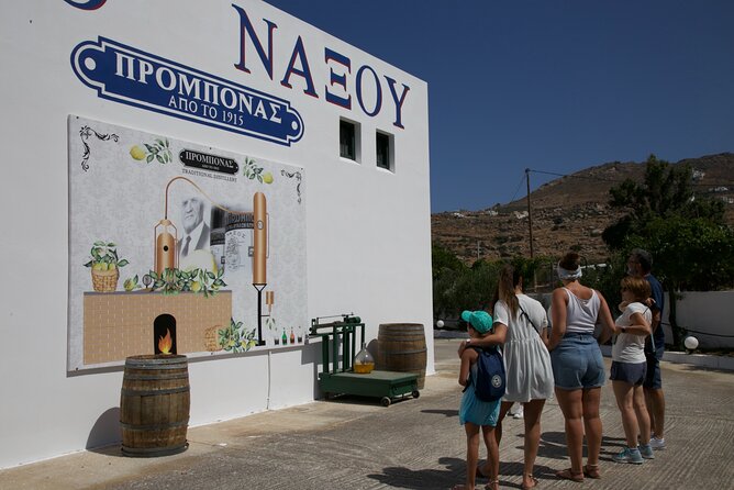 Citron Tasting and Distillery 1-Hour Guided Tour in Naxos - The tasting: three Kitron styles and Greek spirits