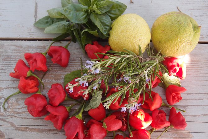 Cooking class, traditional Greek cuisine, on a Greek island - The courtyard feast after the cooking