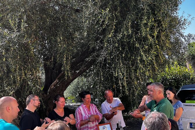 Cooking Classes and olive oil tasting.The real taste of Greece! - Olive oil, old stones, and the family press
