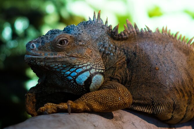 Corfu Aquarium Ticket with Tour Included - Starting at Corfu Aquarium in Palaiokastritsa